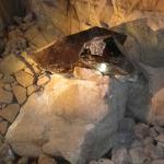 Monte Lucco - Castel Firmian